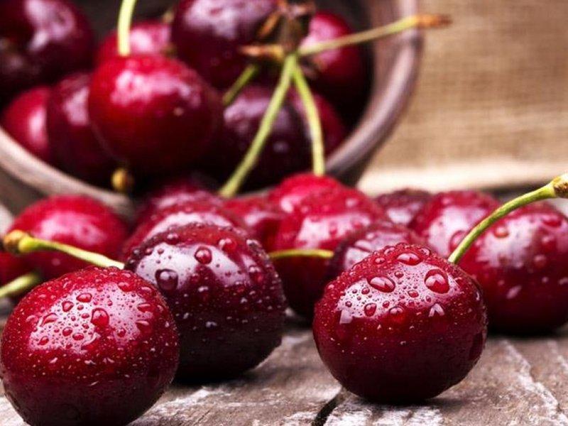 Вишня купить саженцы из питомника в Армянске
